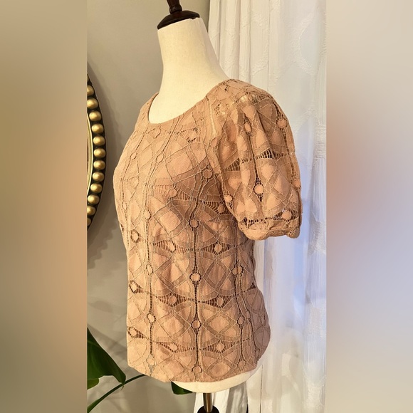 Anthropologie - Mauve - Tan Embroidered Floral Top - XS - Picture 10 of 10